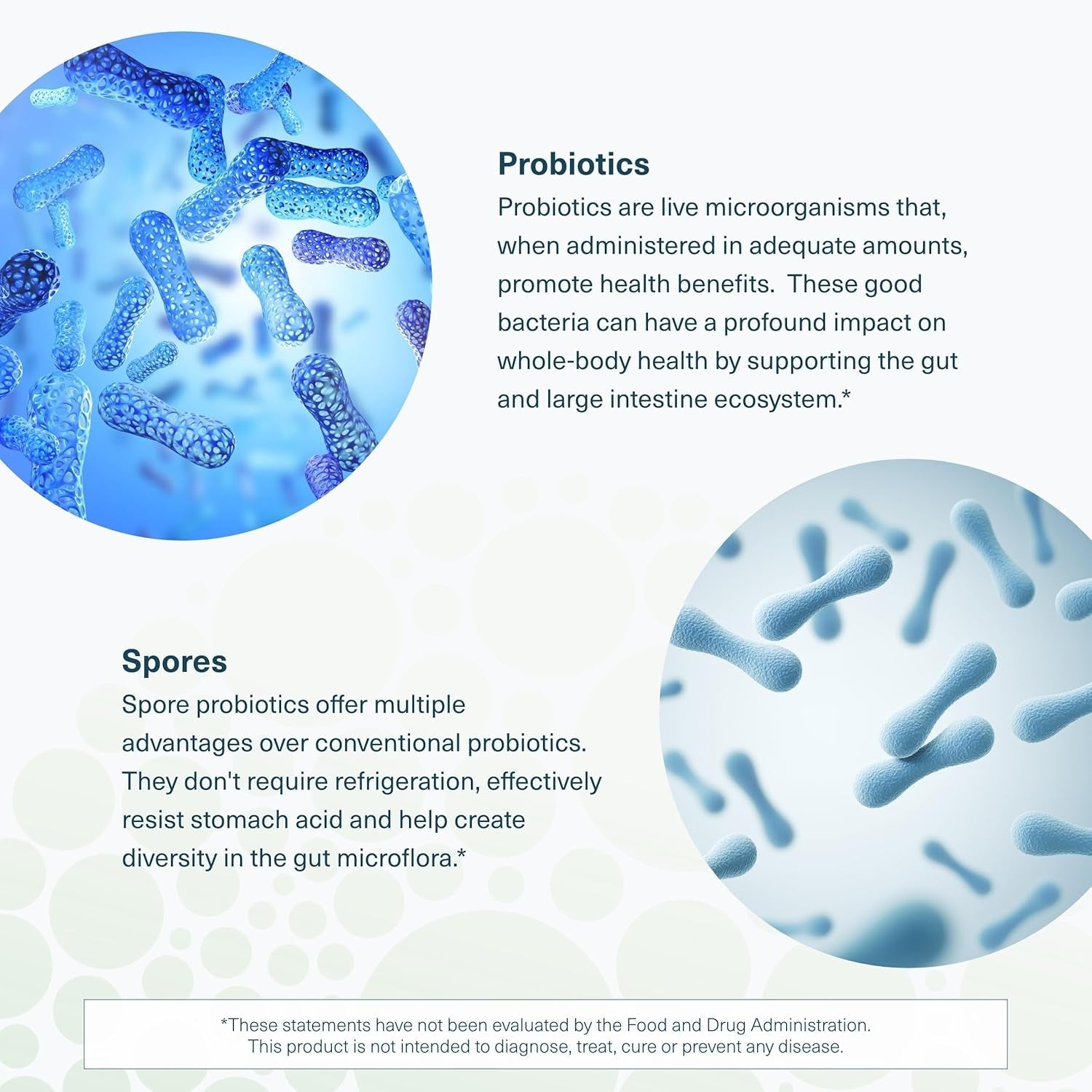 Youtheory Spore Probiotic - Helps Gut Health* - 6 Billion CFU with Prebiotics - Supports Regular Bowel Movement & Diarrhea Relief* - Shelf Stable - 60 Vegetarian Capsules (30-Day Supply)