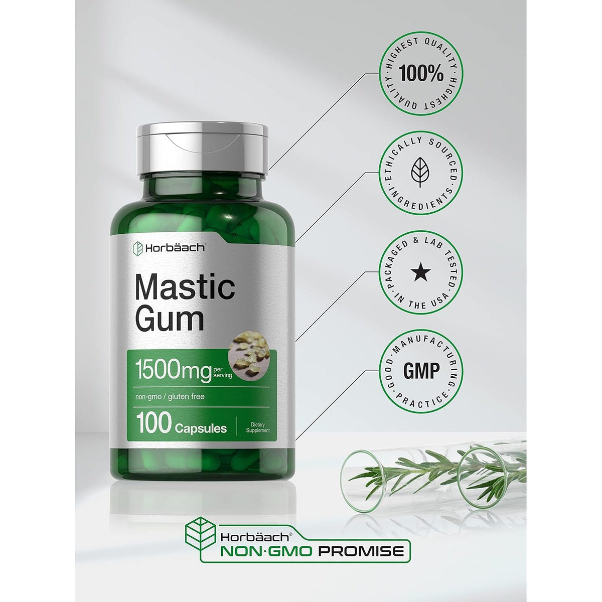 Horbäach Mastic Gum | 1500Mg | 100 Capsules | Non-Gmo & Gluten Free Supplement