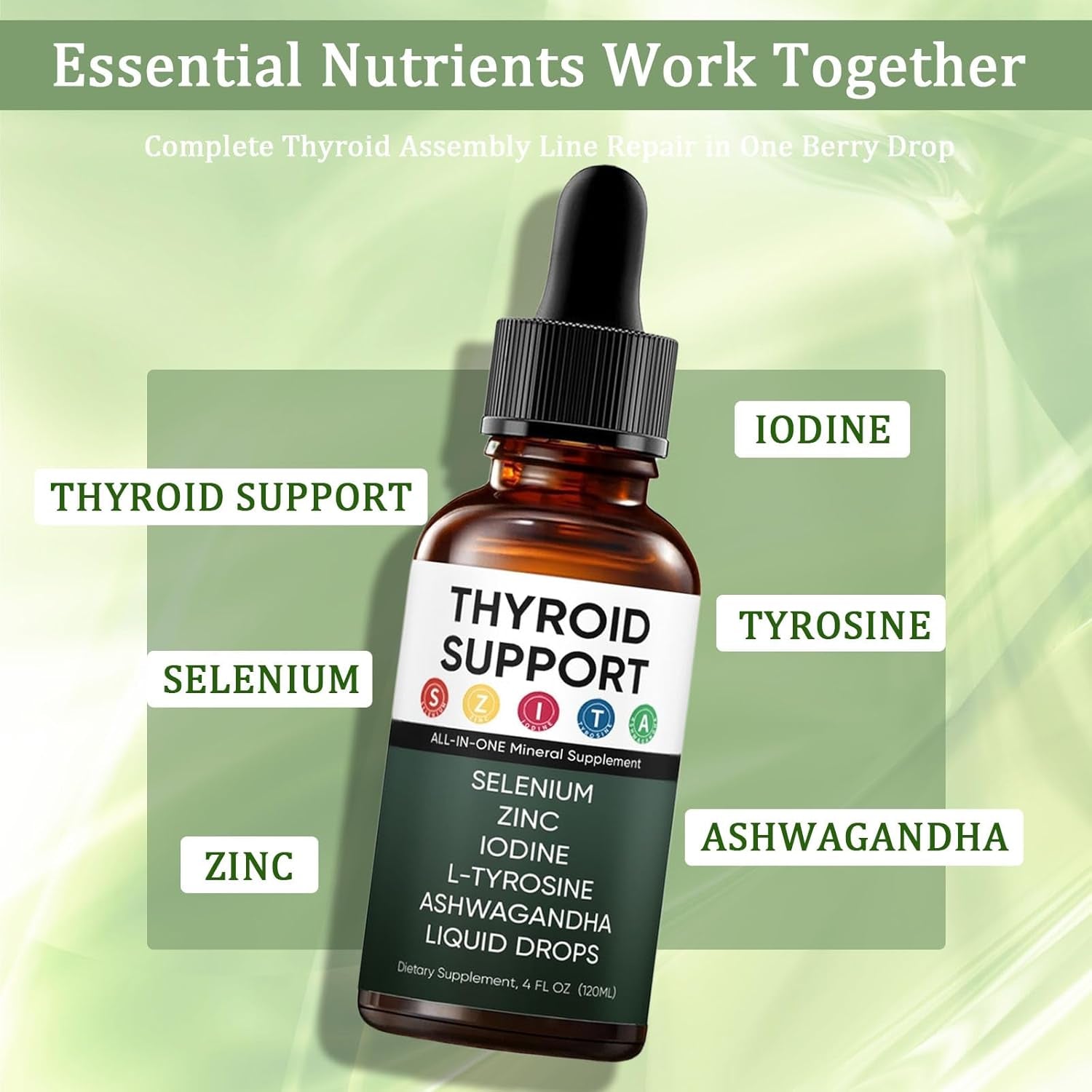Kindled Thyroid Support Liquid Drops, Actora Thyroid Support Drops with Selenium Zinc Iodine L-Tyrosine Ashwagandha for Hormone Balance - Mood & Energy Supplement - 4 Fl. Oz. (120Ml) (1)