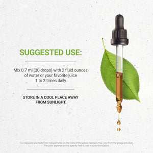Secrets of the Tribe Wild Yam Alcohol-Free USDA Organic Tincture (Glycerite) 695 Mg Responsibly Farmed Wild Yam (Dioscorea Villosa) Dried Root (2 Fl Oz) Hormone Support Supplement