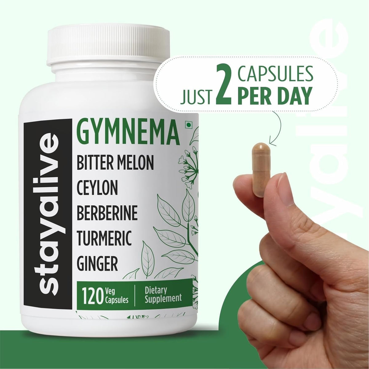 STAY ALIVE Gymnema Sylvestre 25:1 Extract, 120 Capsules with Bitter Melon, Ceylon Cinnamon, Berberine, Turmeric, Ginger, Amla Powder and Fenugreek, Non-Gmo & Gluten Free Gymnema Sylvestre Supplement