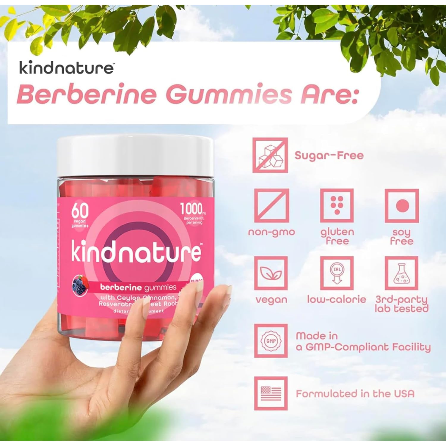Kindnature Berberine Gummies 1000Mg with Ceylon Cinnamon & Resveratrol – 6-In-1 Blood Sugar Support Supplement – Metabolism & Weight Wellness – Sugar-Free, Vegan, Non-Gmo