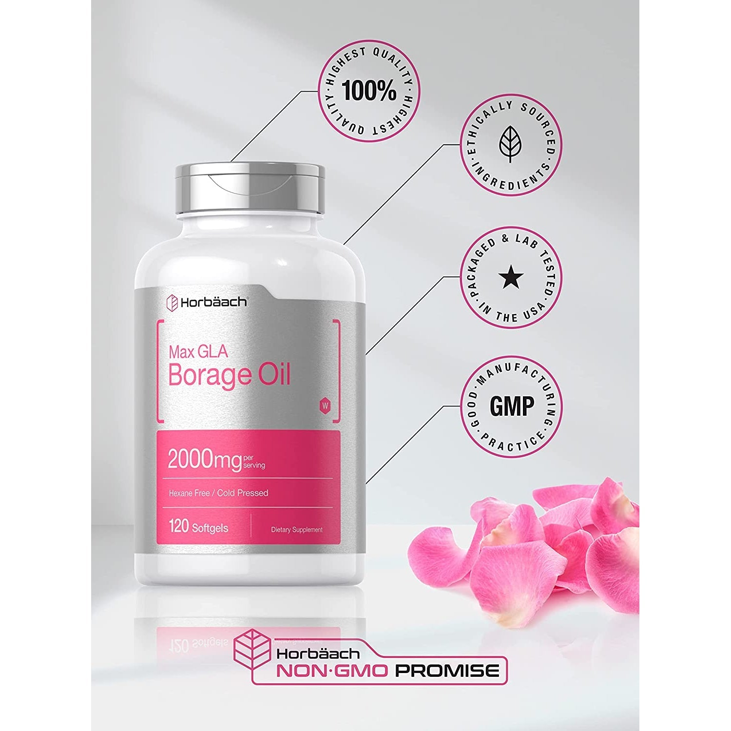 Horbäach Borage Oil Capsules 2000 Mg | 120 Softgels | 320Mg of GLA | Cold Pressed Seed Oil Supplement