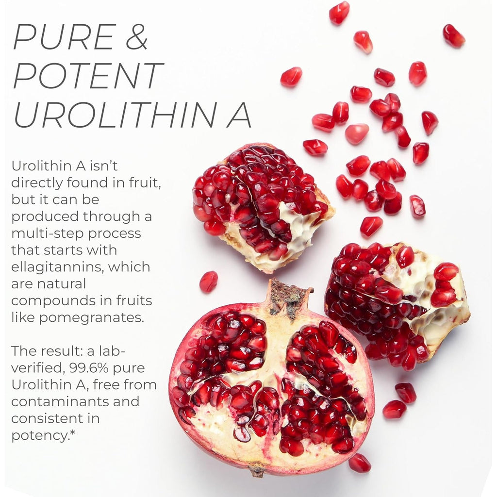 Neurogan Urolithin a PRO Capsules - 1000Mg, 120 Ct - Advanced Cellular Health, Post Biotic Supplements - Ultra Micronized Urolithin a Supplement, Sourced from Pomegranate Extract