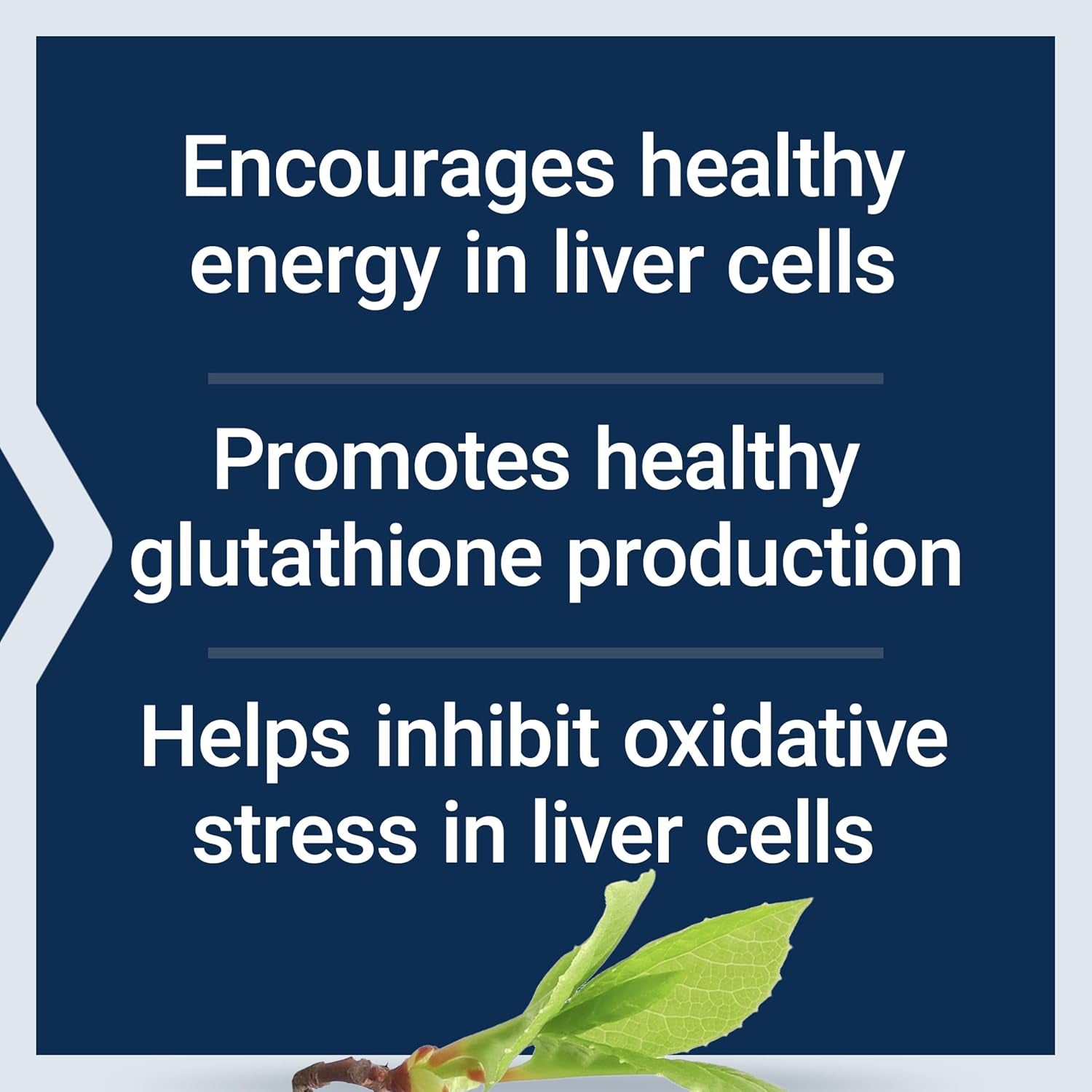 Life Extension Liver Efficiency Formula, Supports Healthy Liver Function at the Cellular Level and Optimal Levels of Antioxidants in Metabolism, Gluten-Free, Non-Gmo, Vegetarian, 30 Capsules