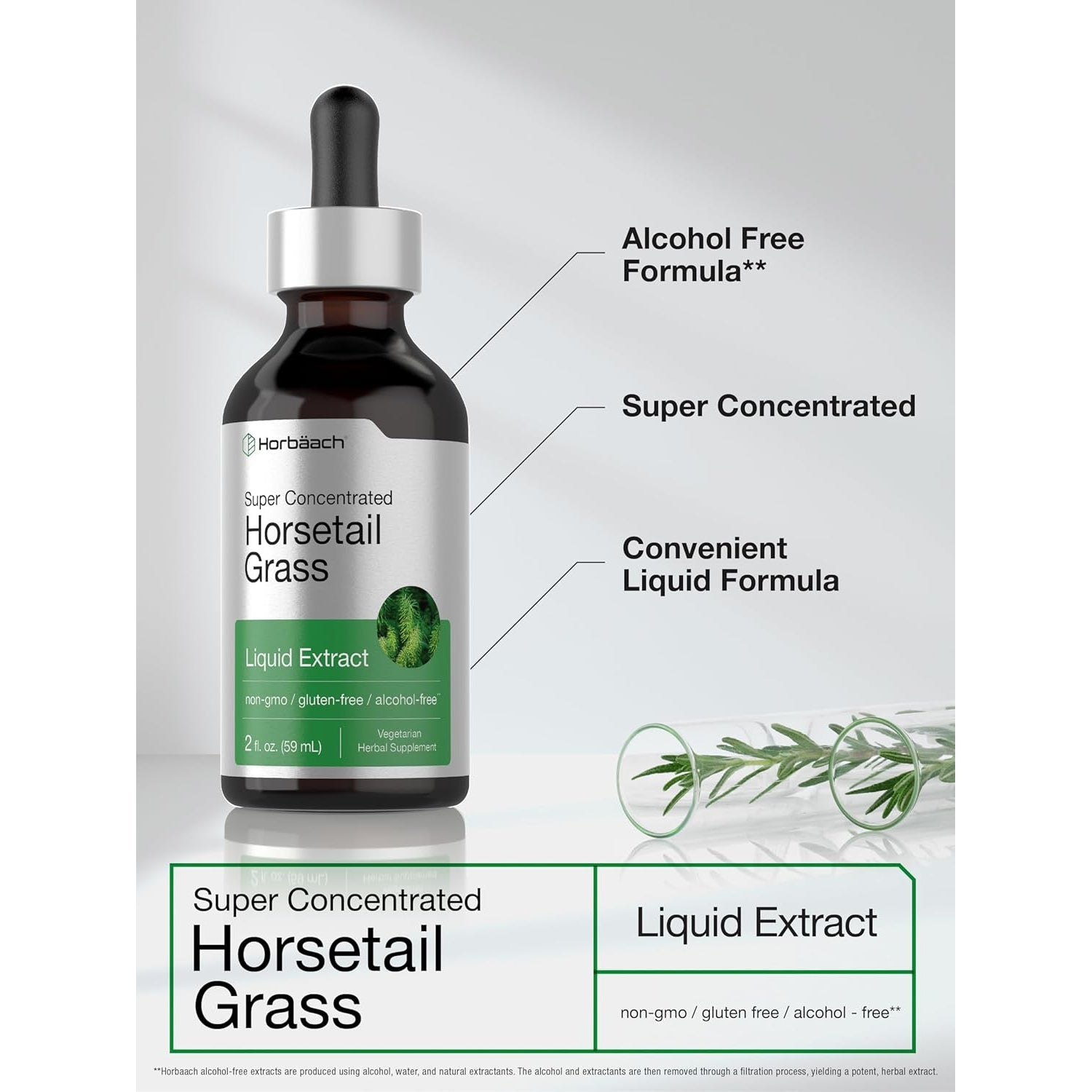 Horbäach Horsetail Herb Liquid Extract | Alcohol Free | 2 Fl Oz | Vegetarian, Non-Gmo, & Gluten Free Supplement