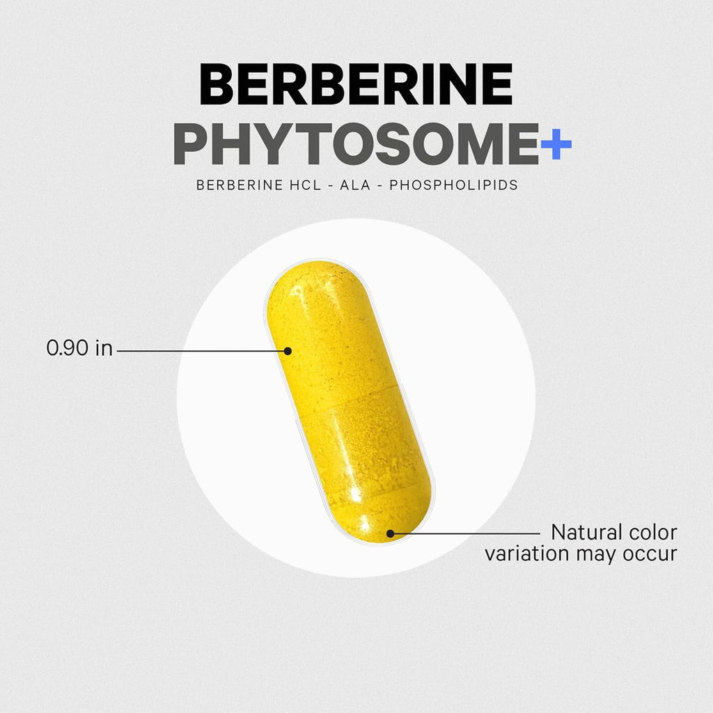 Codeage Berberine Phytosome Supplement - Berberine HCL, Alpha Lipoic Acid, Phospholipid Complex - 2-Month Supply - Berberine HCL - Berberine Hydrochloride - Gluten-Free, Non-Gmo - 60 Capsules