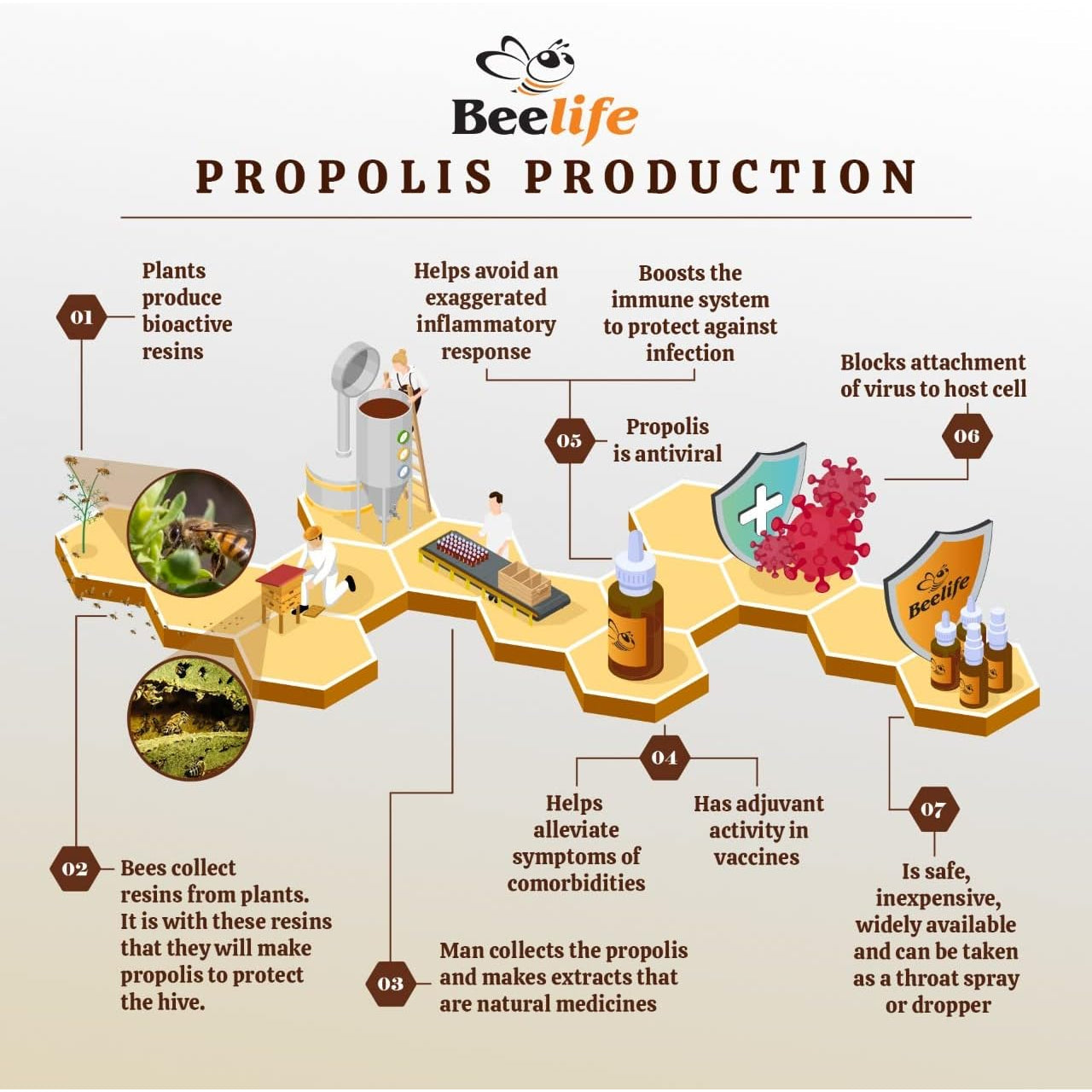 Beelife Propoflex Organic Green Propolis Extract - High Artepillin-C Levels, Antioxidant-Rich Supplement for Overall Wellness - Natural & Kosher-Friendly - Made in Brazil, 1 Fl. Oz.