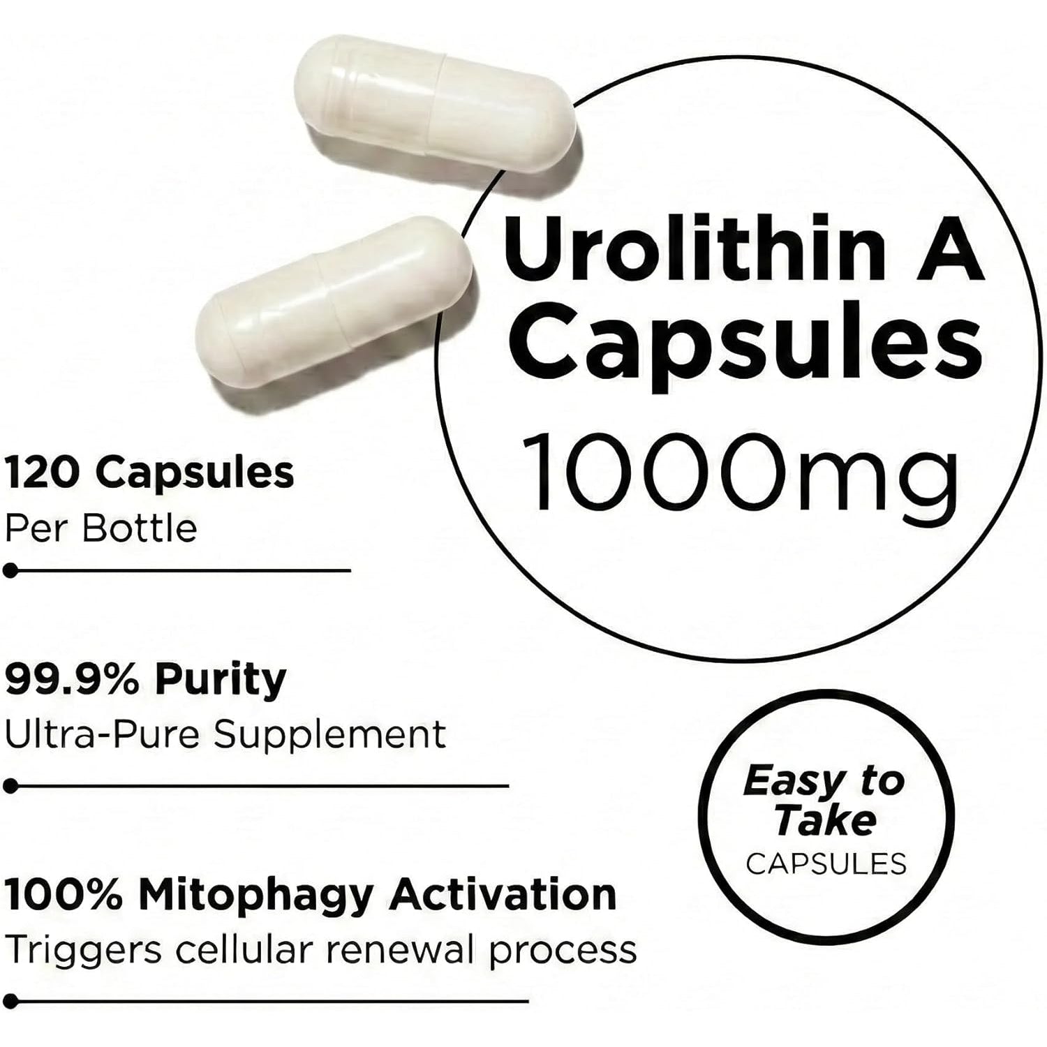 Urolithin a 1000Mg Supplement - 99.9% High Purity for Cellular Vitality, Longevity & Muscle Support - 120 Capsules, 60-Day Supply - Non-Gmo, Third Party Tested