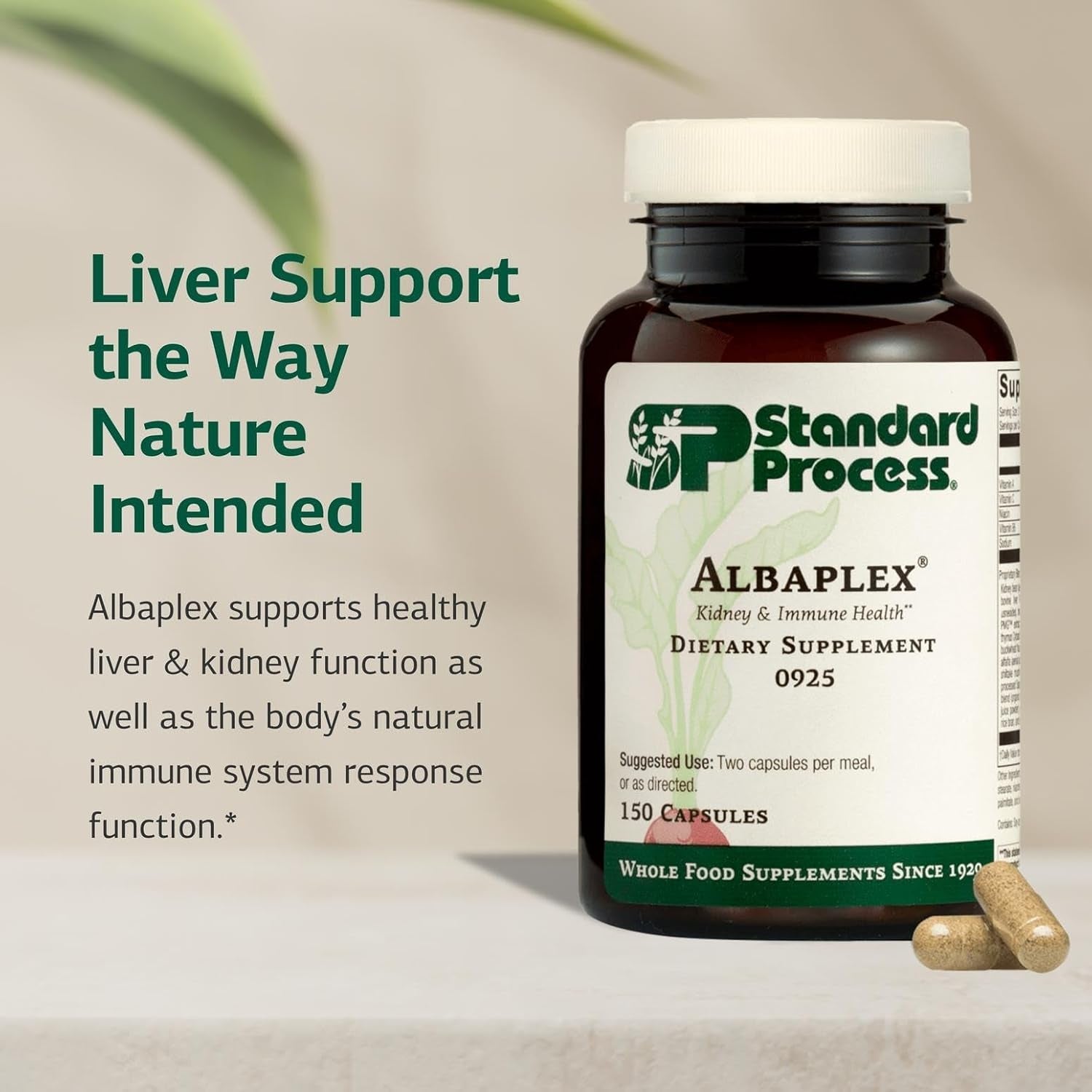 Standard Process Albaplex Liver & Immune Health Dietary Supplement - Non-Dairy - Kidney & Liver Health Support - Contains Vitamins A,B6, & C - 150 Capsules