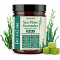 Sea Moss Gummies 16-In-1, with Black Seed Oil, Ashwagandha & Elderberry | Organic Irish Sea Moss Supplement for Men & Women | Daily Support with Manuka, Burdock Root & Vitamins C & D3, 30 Gummies