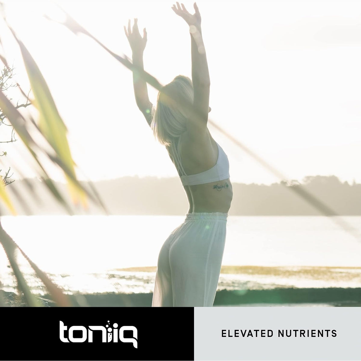 Toniiq Ultra High Purity Fisetin 500Mg - 98%+ Higly Purified & Bioavailable Fisetin Supplement with MCT Oil for Absorption - Third-Party Tested Senolytic Supplements for Aging Support - 60 Capsules
