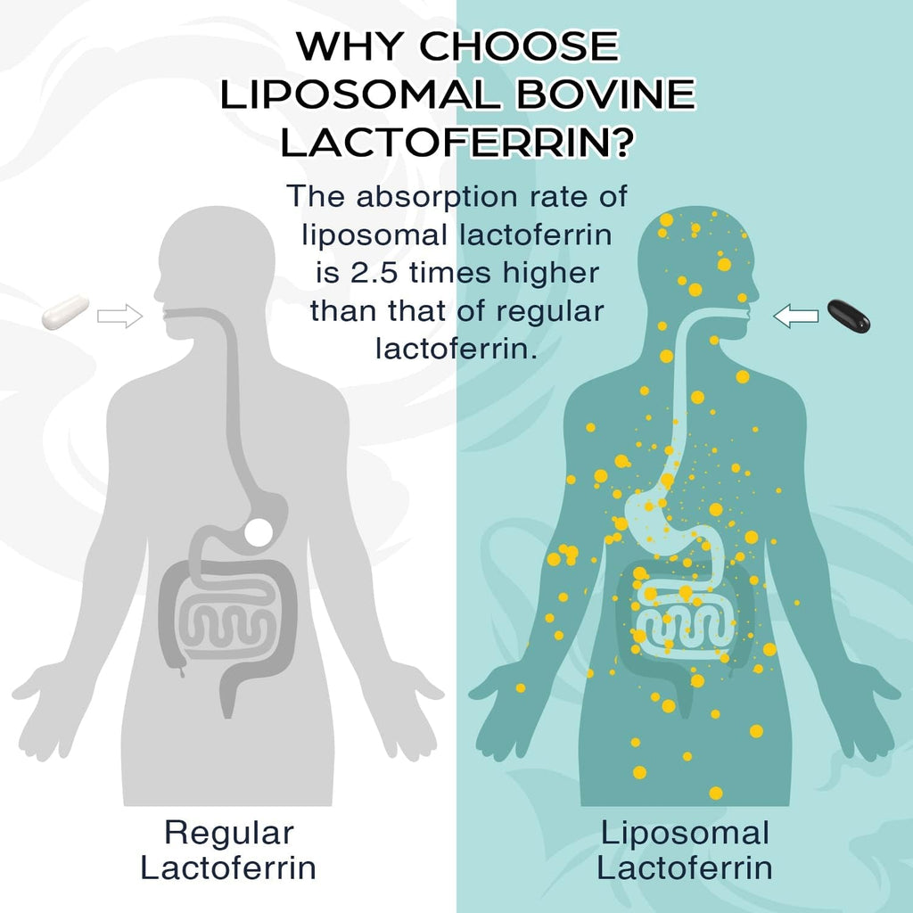 Liposomal Bovine Lactoferrin 1000 Mg - Higher Absorption - for Iron Absorption & Immune Function Lactoferrin Supplements for Adults, 60 Softgels