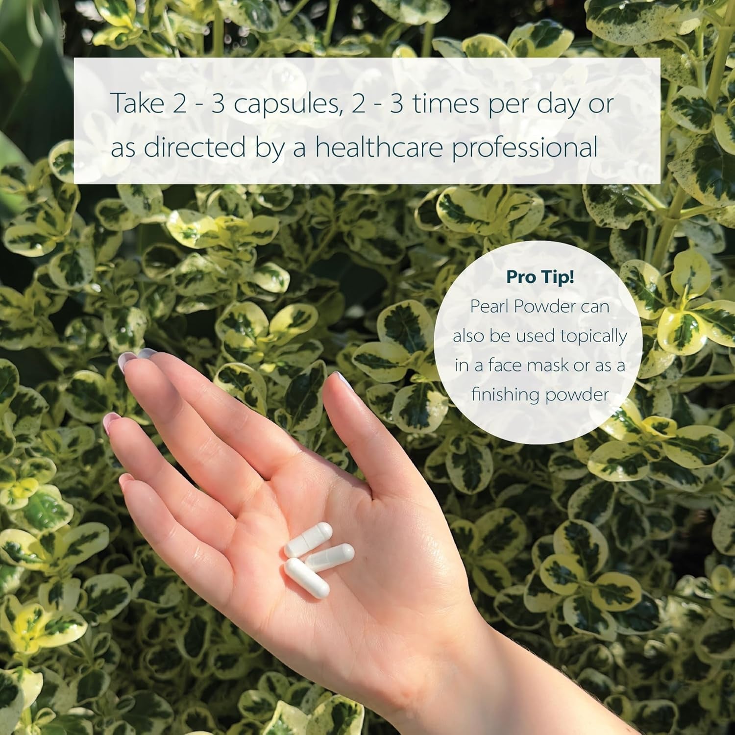 Dragon Herbs Pearl Powder Capsules - Pure Pearl Powder Supplement to Support Skin, Eyes, Nails, Beauty | All Natural Ingredients, Non-Gmo (100 Capsules, 500 Mg per Capsule)