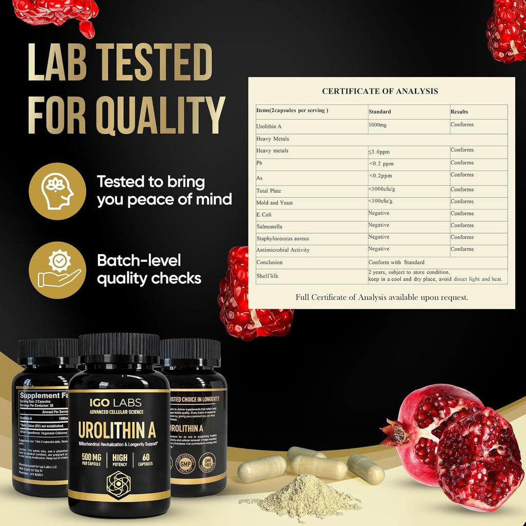 Urolithin a Capsules 500Mg - 1000Mg per Serving Mitochondrial Support Supplement for Cellular Renewal - Longevity Wellness Capsules - High Purity Urolithin a Supplement - 60 Caps