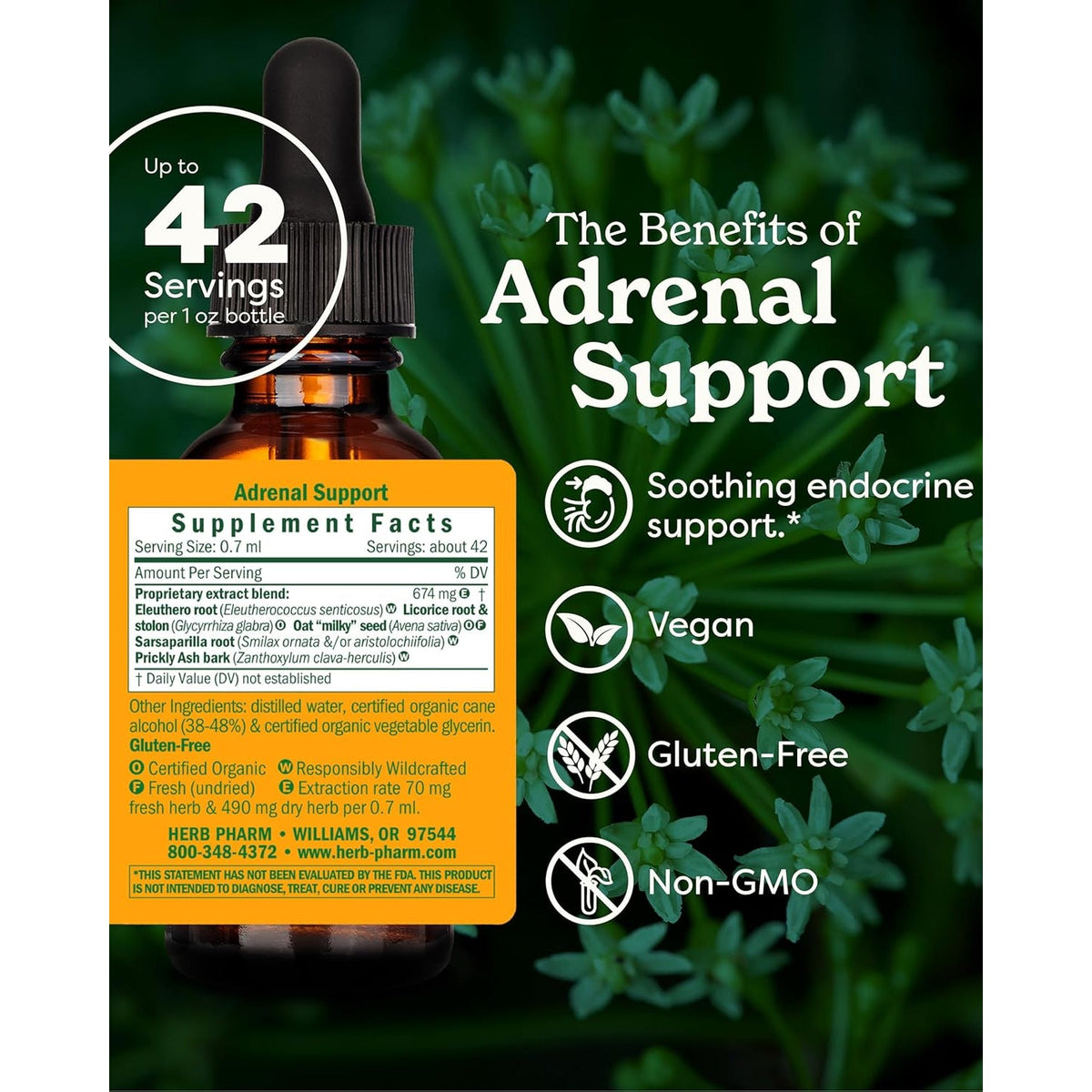 Herb Pharm Adrenal Support Liquid Herbal Formula with Eleuthero and Licorice Liquid Extracts - 1 Ounce