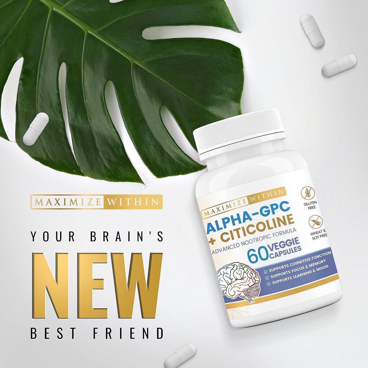 Alpha GPC + Citicoline 60 Ct, 1600Mg Concentrated Formula- 99%+Highly Purified & Bioavailable Nootropic-Cognitive Enhancer, Supports Memory, Brain Function, Boosts Focus, Mood & Energy