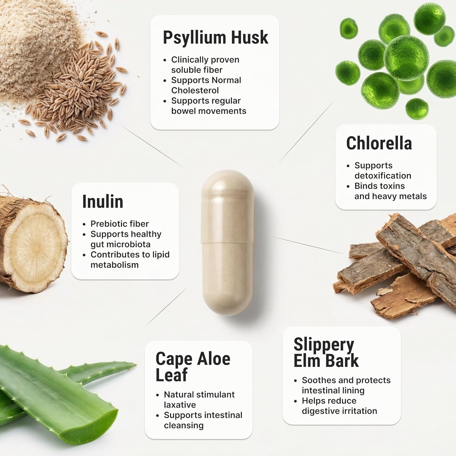 Cholesterol Supplement - All-Natural Ingredients to Support Normal Colesterol Levels. Supports Optimal Circulation. 60 Capsules