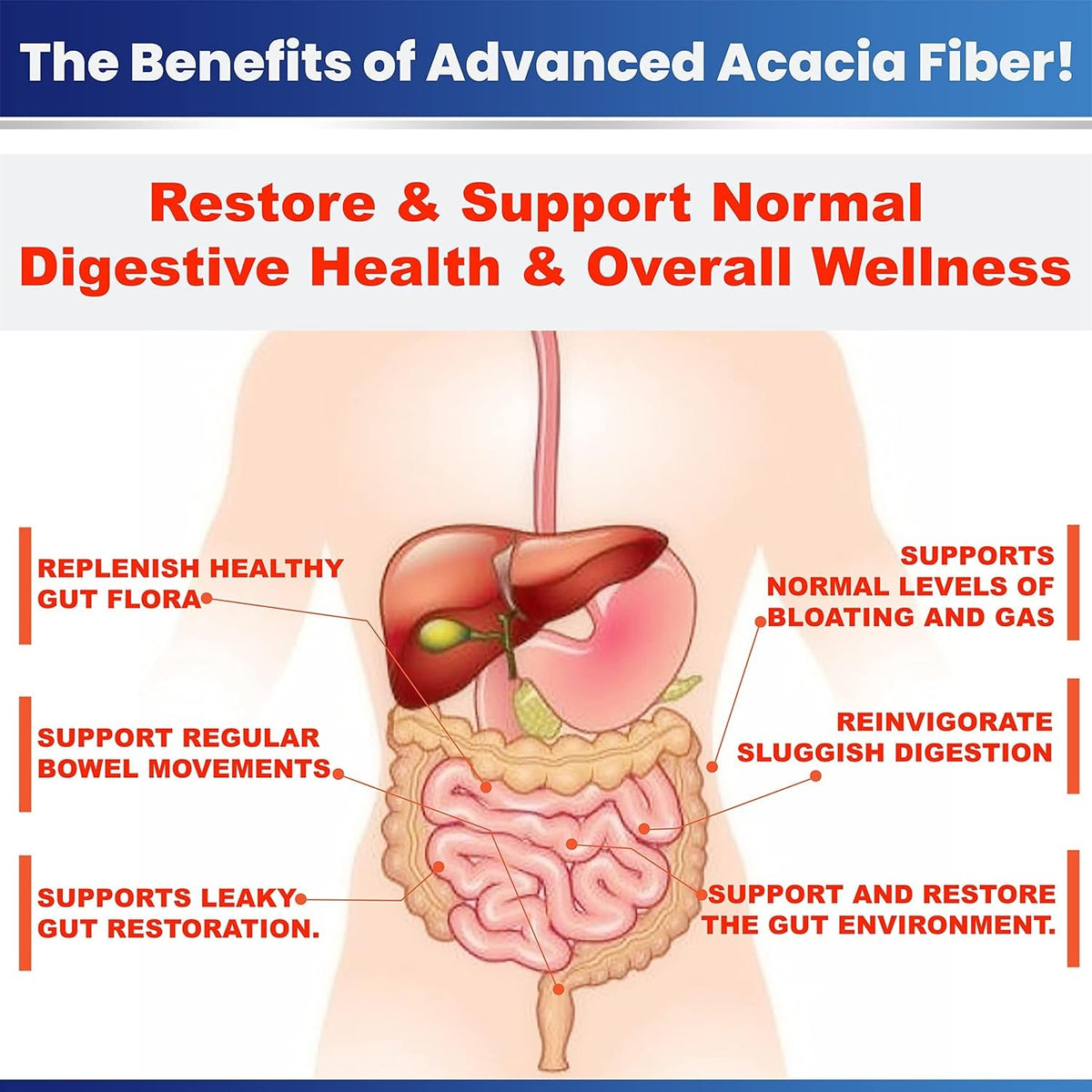 Advanced Acacia Fiber Powder 2.5 Ibs (40Oz) Organic Soluble Fiber Leaky Gut Repair Powder. Natural Supplement Prebiotic for Gut Repair