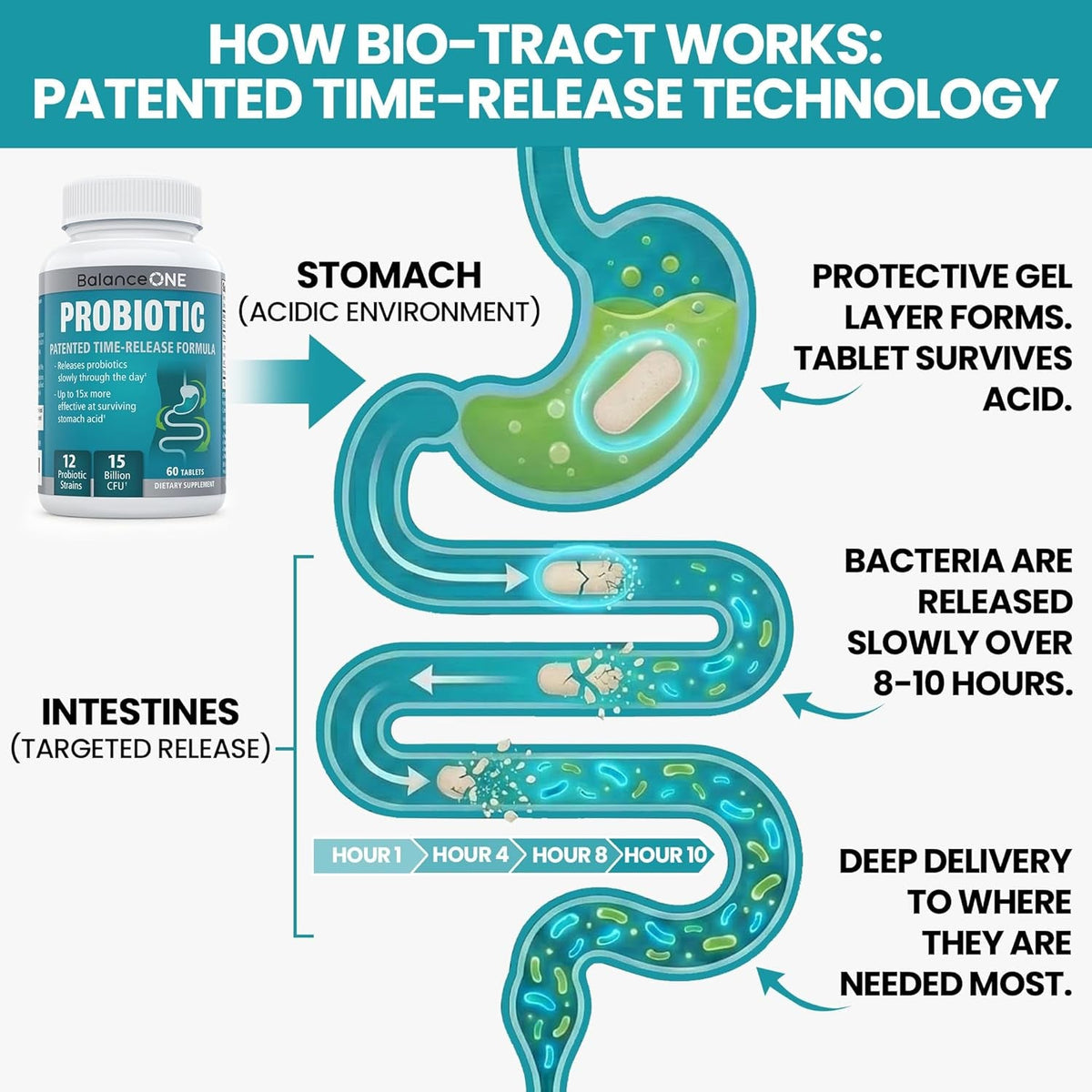 Balance ONE Time Release Probiotic – 15 Billion CFU – 12 Strains Including L. Plantarum – 15X More Survival than Capsules – Bloating & Gas Relief – Gut & Digestive Health for Women & Men – 60 Tablets