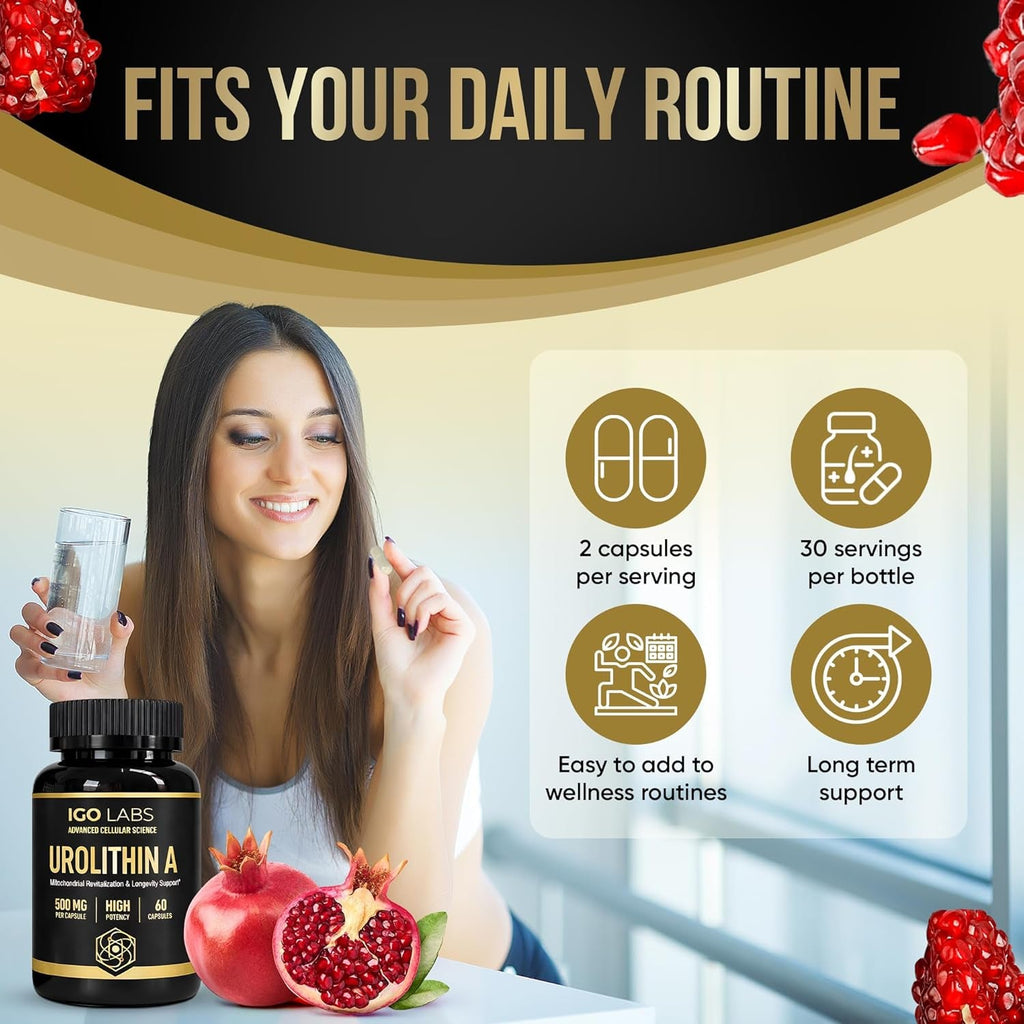 Urolithin a Capsules 500Mg - 1000Mg per Serving Mitochondrial Support Supplement for Cellular Renewal - Longevity Wellness Capsules - High Purity Urolithin a Supplement - 60 Caps
