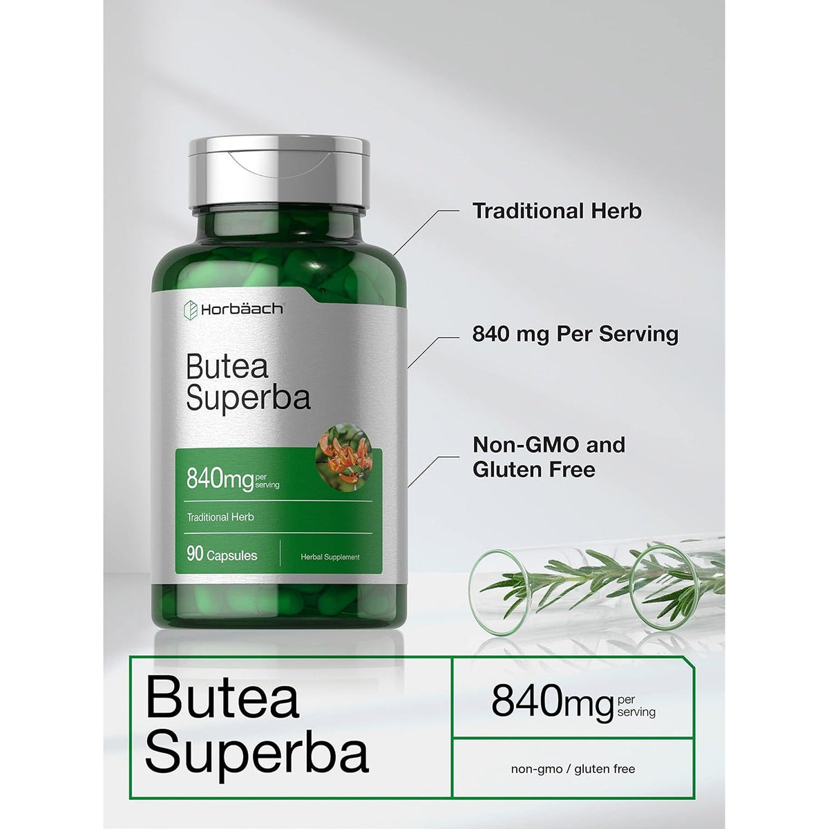 Horbäach Butea Superba Root 840Mg | 90 Capsules | Male Performance | Non GMO, Gluten Free Supplement