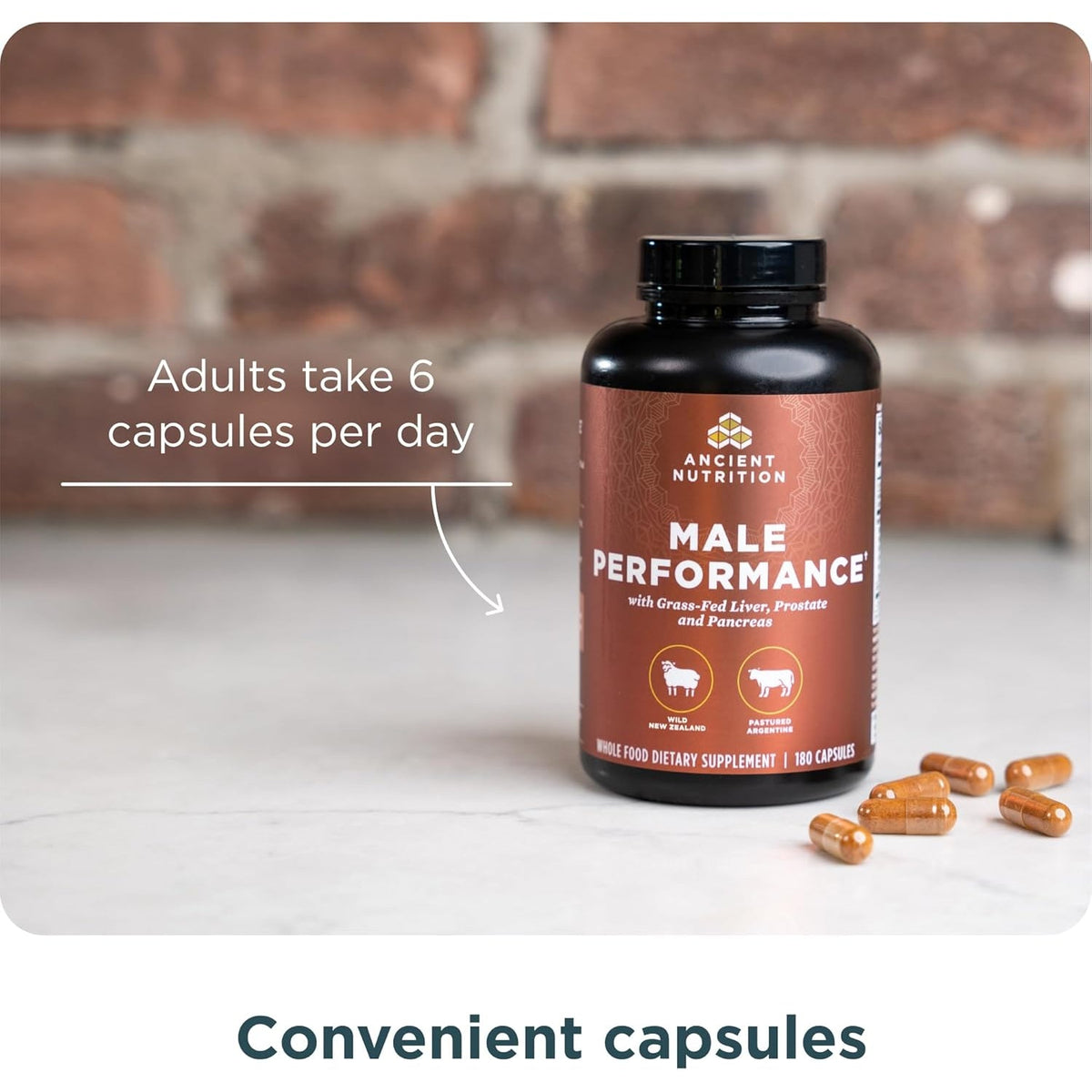 Ancient Nutrition Organ Supplements for Men, Grass-Fed and Wild Organ Complex Capsules, Liver, Prostate, Pancreas Supports Male Performance, Healthy Aging, 180 Ct