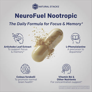 NATURAL STACKS Original Neurofuel Nootropic Brain Support Supplement - 750Mg L-Carnitine & 500Mg L-Phenylalanine - Brain Supplement for Memory and Focus* - 75 Focus Pills