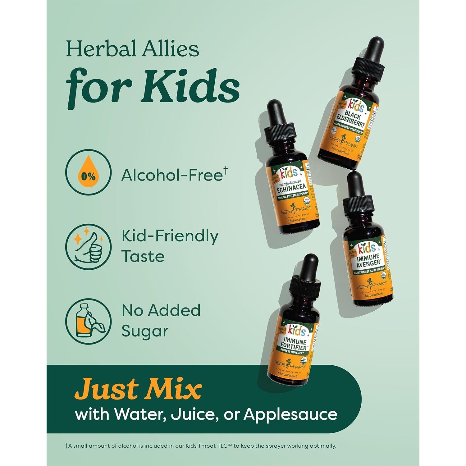 Herb Pharm Kids Fast Asleep™: Sleep Support Herbal Extract, Sugar-Free, Alcohol-Free, Herbal Supplement for Kids, Nap & Nighttime Support, Non-Bitter, up to ~132 Servings per Bottle, 1 Oz*