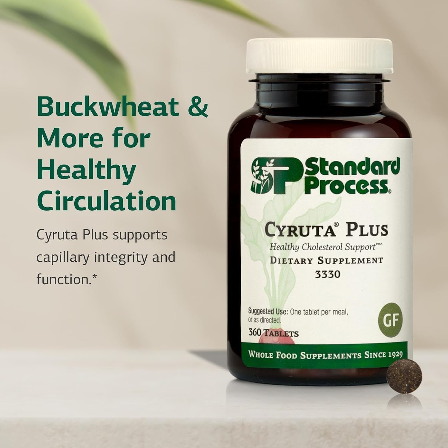 Standard Process Cyruta plus - Capillary & Circulation Support - Aids Healthy Peripheral Circulation - Gluten-Free, Non-Dairy & Non-Soy - 360 Tablets