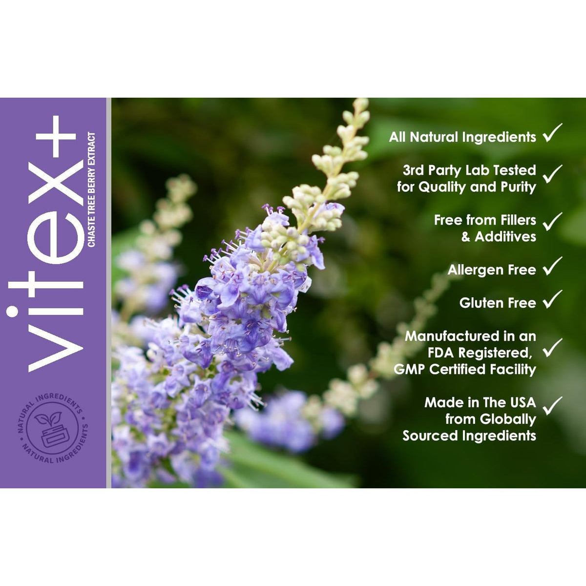 VH Nutrition VITEX+ | Vitex Chasteberry Supplement for Women | Hormonal Balance* and Fertility Support* | 650Mg per Serving of Vitex Berry Extract Powder | 60 Capsules