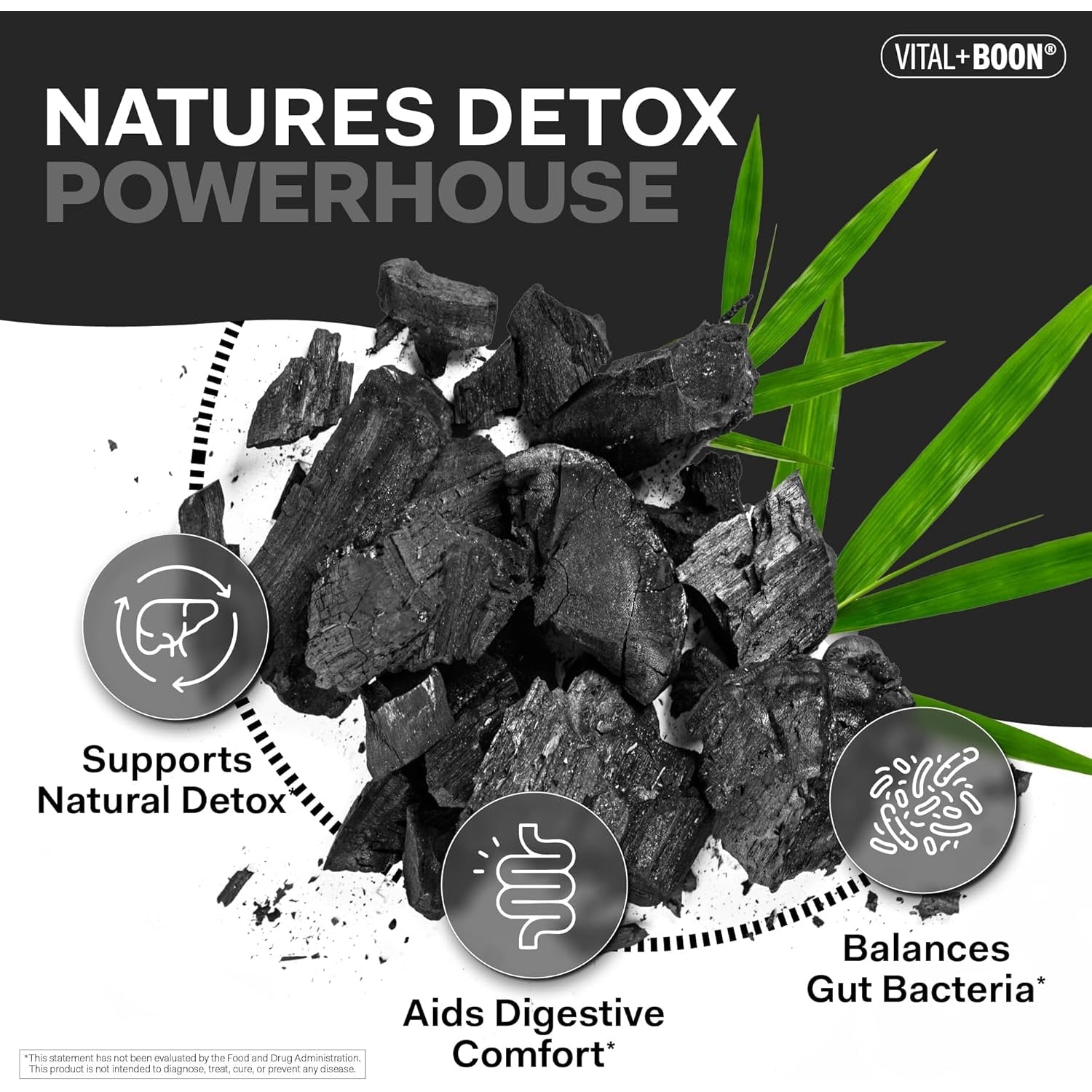 Vital+Boon Activated Charcoal Pills – Derived from Coconut Shells – Black Charcoal Binder for Stomach, Gas & Bloating Relief – Gluten Free Vegetarian Active Carbon to Support Detox (120 Capsules)