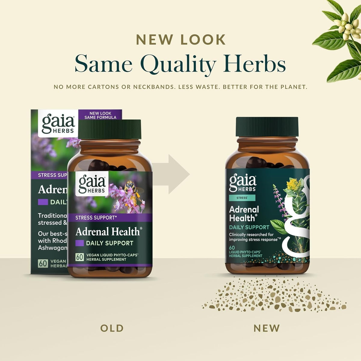 Gaia Herbs Adrenal Health Daily Support - Herbal Supplement with Ashwagandha, Holy Basil & Schisandra - Help Maintain Healthy Energy & Stress Levels* - 60 Vegan Liquid Phyto-Caps (30 Servings)