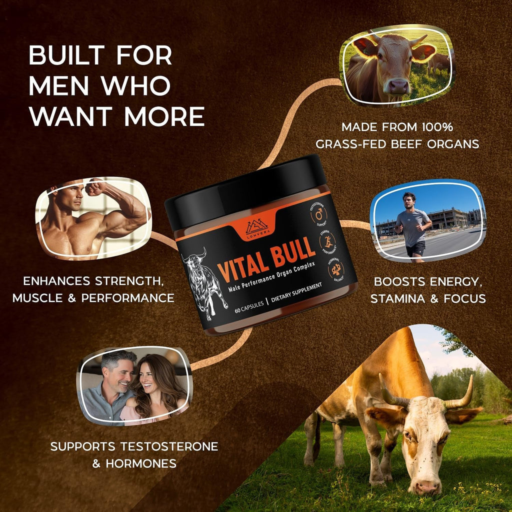 Vital Bull Beef Organ Supplement for Men with Grass Fed Liver, Testicle, Prostate & Bone Marrow – Freeze Dried Beef Organ Capsules for Nutrient Support – 30 Day Supply