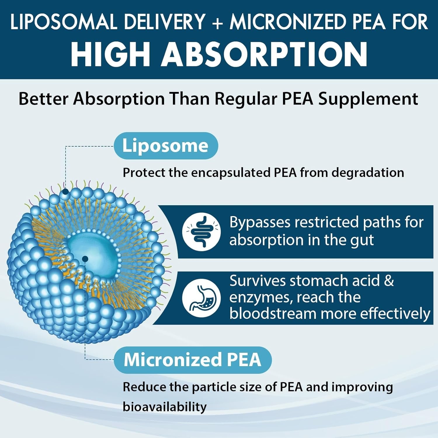 Ulmubra Liposomal Palmitoylethanolamide 1300 MG plus Luteolin 100 MG, Superior Absorption, Micronized Pea Supplement for Discomfort Management, 60 Softgels