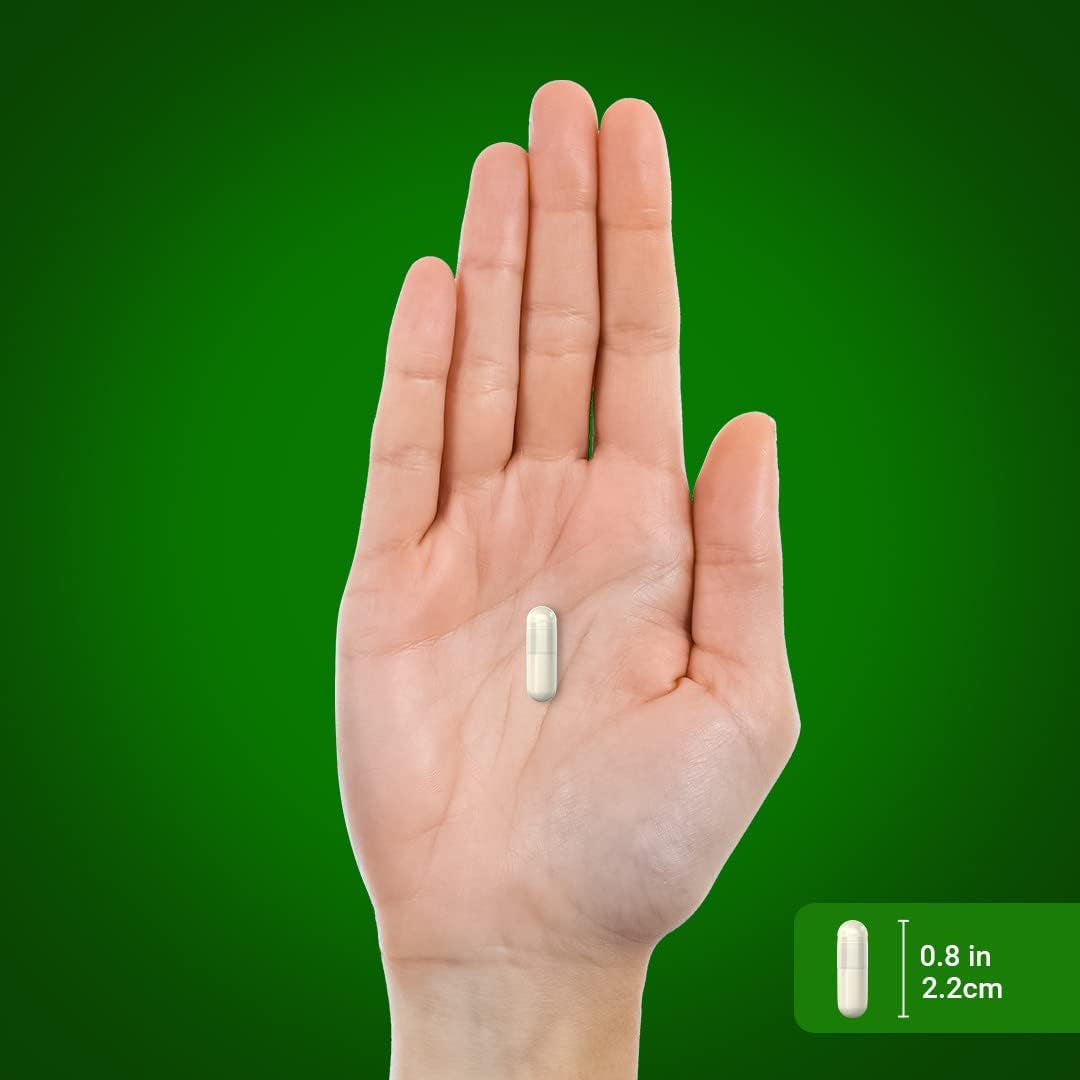 Piping Rock Green Lipped Mussel | 120 Capsules | Supplement for Humans | Freeze Dried from New Zealand | Non-Gmo, Gluten Free