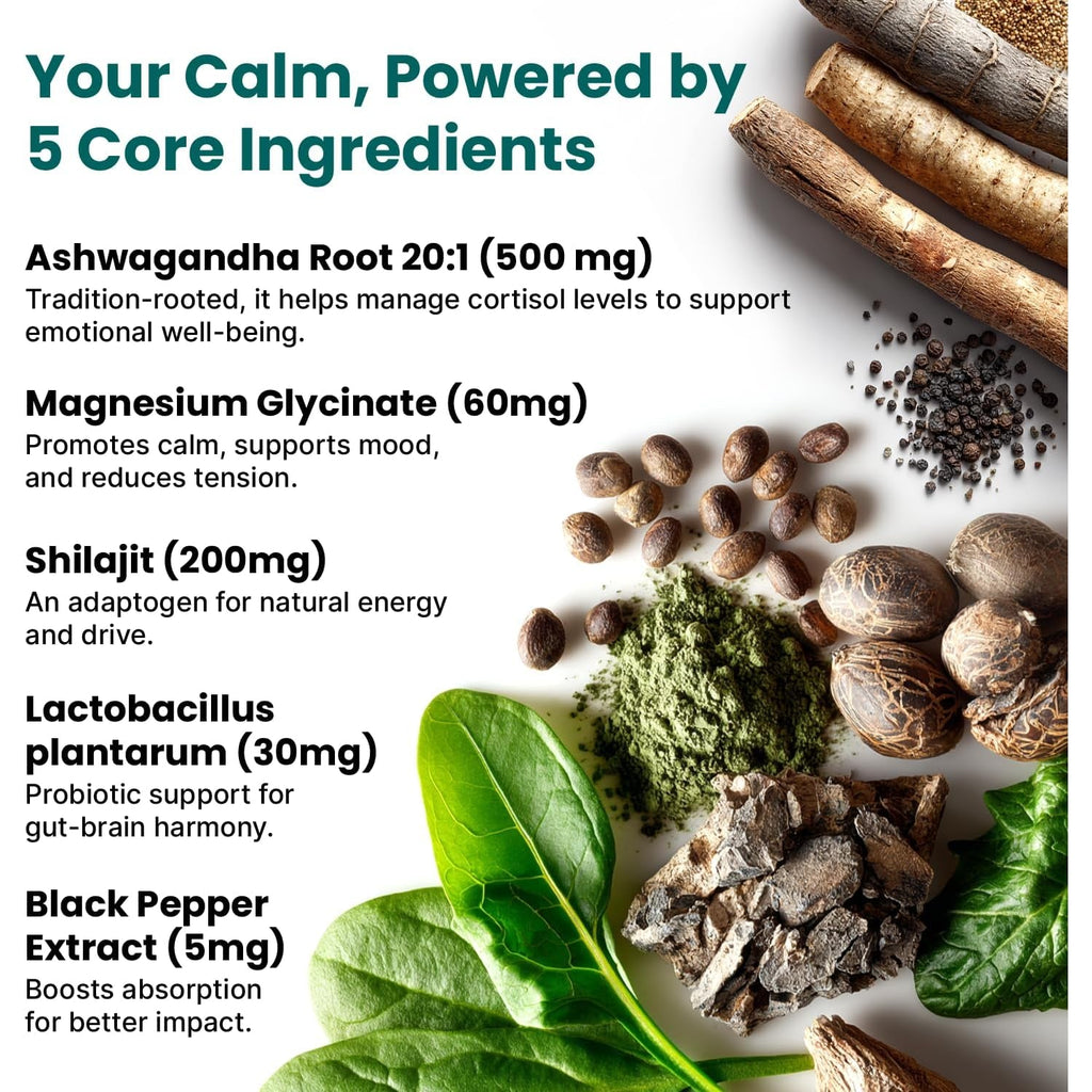 5-In-1 Cortisol Supplement for Women and Men with Ashwagandha for Calmness, Focus, and Adrenal Support Supplements with Shilajit Extract, Magnesium Glycinate, Probiotics (120 Ct) (Pack of 1)