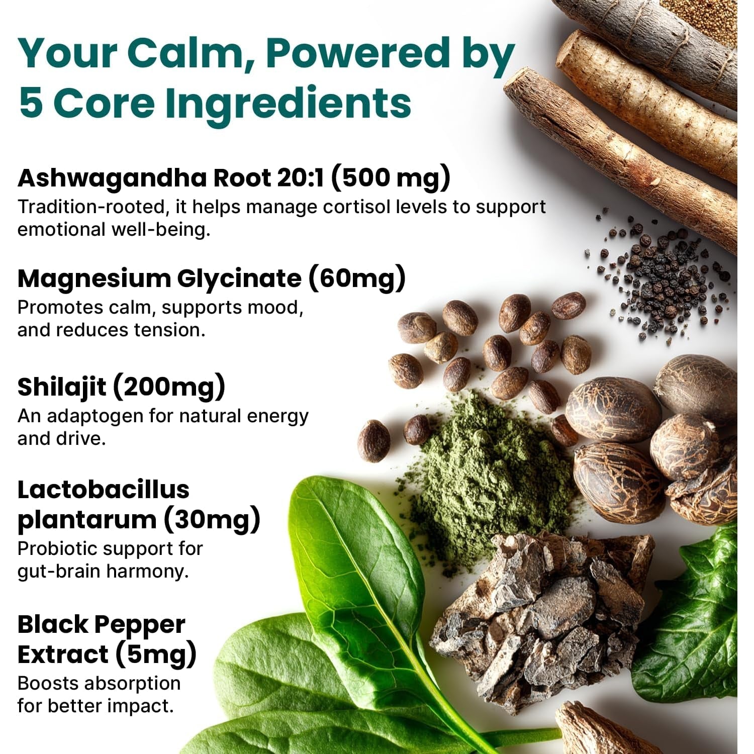 5-In-1 Cortisol Supplement for Women and Men with Ashwagandha for Calmness, Focus, and Adrenal Support Supplements with Shilajit Extract, Magnesium Glycinate, Probiotics (120 Ct) (Pack of 1)