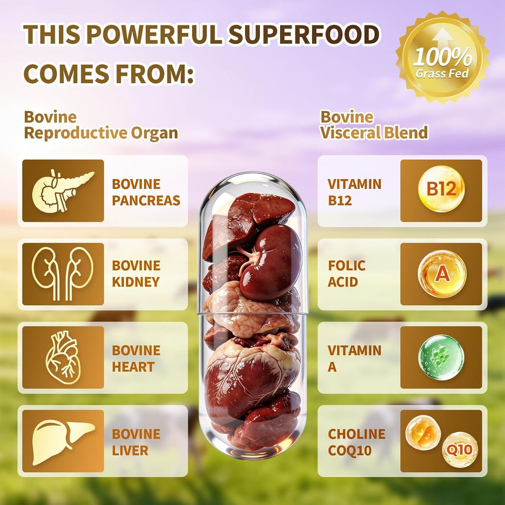 Vivonu Beef Organ Supplement for Women, per Serving Beef Organs with Bovine Liver, Ovary, Uterus, Kidney, Heart, Bone & More, 100% Grass Fed, Balance Hormones*, Energy* (180 Capsules)